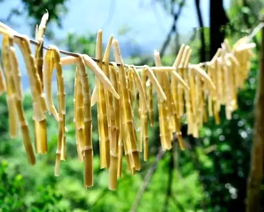 吃春筍，不可辜負(fù)的至鮮皖味